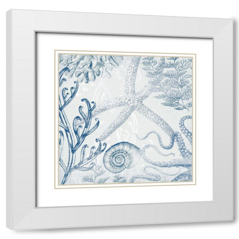 Seabed Scene IV White Modern Wood Framed Art Print with Double Matting by Barnes, Victoria