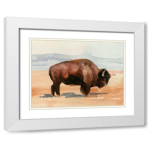 Grazing Bison II White Modern Wood Framed Art Print with Double Matting by Parker, Jennifer Paxton