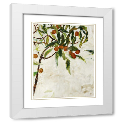 Kumquat Tree White Modern Wood Framed Art Print with Double Matting by Maas, Jodi