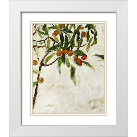 Kumquat Tree White Modern Wood Framed Art Print with Double Matting by Maas, Jodi