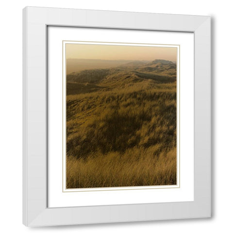 Golden Fog I White Modern Wood Framed Art Print with Double Matting by Green, Jacob