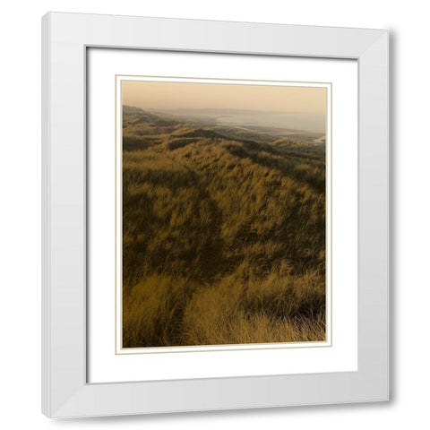 Golden Fog II White Modern Wood Framed Art Print with Double Matting by Green, Jacob