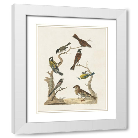 Antique Birds in Nature II White Modern Wood Framed Art Print with Double Matting by Vision Studio