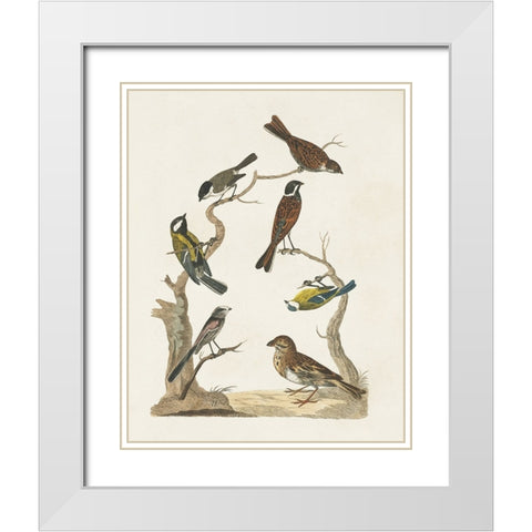 Antique Birds in Nature II White Modern Wood Framed Art Print with Double Matting by Vision Studio