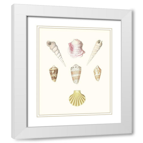 Pastel Knorr Shells I White Modern Wood Framed Art Print with Double Matting by Knorr, G.W.