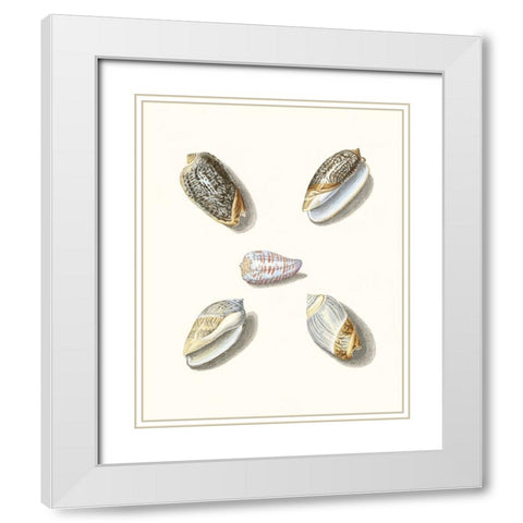 Pastel Knorr Shells III White Modern Wood Framed Art Print with Double Matting by Knorr, G.W.