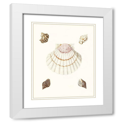 Pastel Knorr Shells IV White Modern Wood Framed Art Print with Double Matting by Knorr, G.W.
