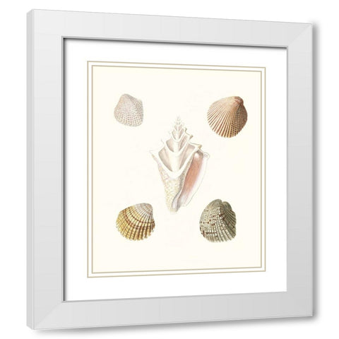 Pastel Knorr Shells IX White Modern Wood Framed Art Print with Double Matting by Knorr, G.W.