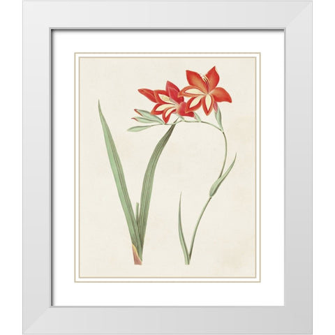 Flowers of the Seasons IV White Modern Wood Framed Art Print with Double Matting by Unknown
