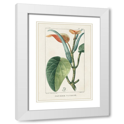 Turpin Tropical Botanicals II White Modern Wood Framed Art Print with Double Matting by Turpin