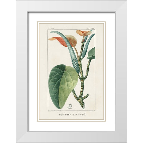 Turpin Tropical Botanicals II White Modern Wood Framed Art Print with Double Matting by Turpin