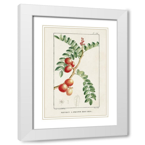 Turpin Tropical Botanicals III White Modern Wood Framed Art Print with Double Matting by Turpin