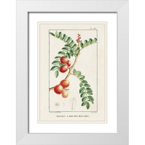 Turpin Tropical Botanicals III White Modern Wood Framed Art Print with Double Matting by Turpin