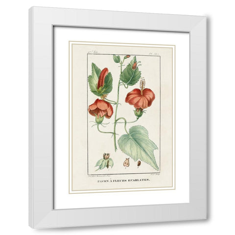 Turpin Tropical Botanicals IV White Modern Wood Framed Art Print with Double Matting by Turpin