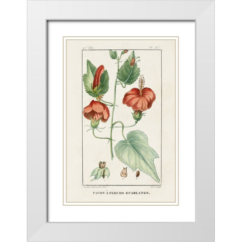 Turpin Tropical Botanicals IV White Modern Wood Framed Art Print with Double Matting by Turpin