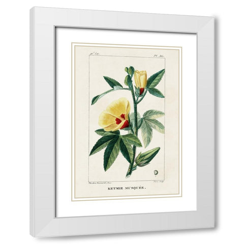 Turpin Tropical Botanicals VI White Modern Wood Framed Art Print with Double Matting by Turpin