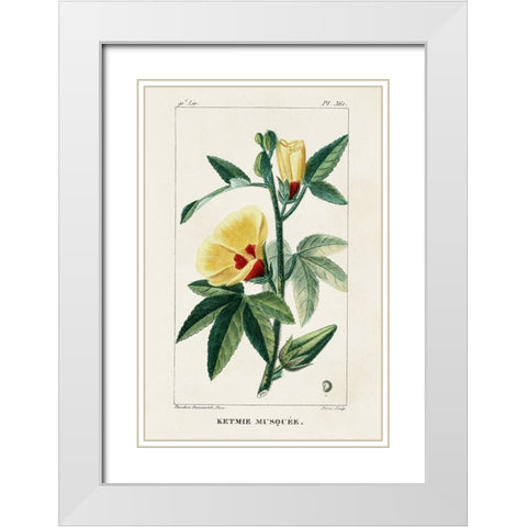 Turpin Tropical Botanicals VI White Modern Wood Framed Art Print with Double Matting by Turpin