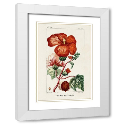 Turpin Tropical Botanicals VII White Modern Wood Framed Art Print with Double Matting by Turpin