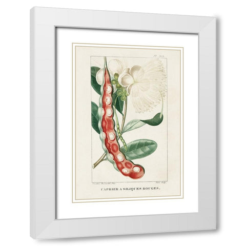 Turpin Tropical Botanicals VIII White Modern Wood Framed Art Print with Double Matting by Turpin