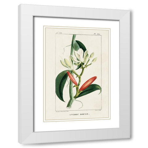 Turpin Tropical Botanicals IX White Modern Wood Framed Art Print with Double Matting by Turpin