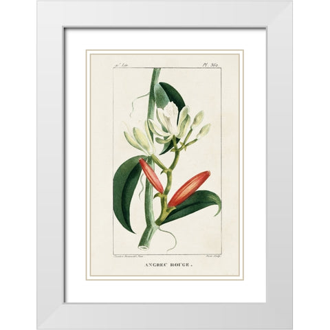 Turpin Tropical Botanicals IX White Modern Wood Framed Art Print with Double Matting by Turpin