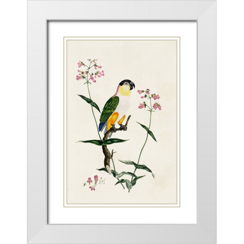 Bird in Habitat IV White Modern Wood Framed Art Print with Double Matting by Unknown