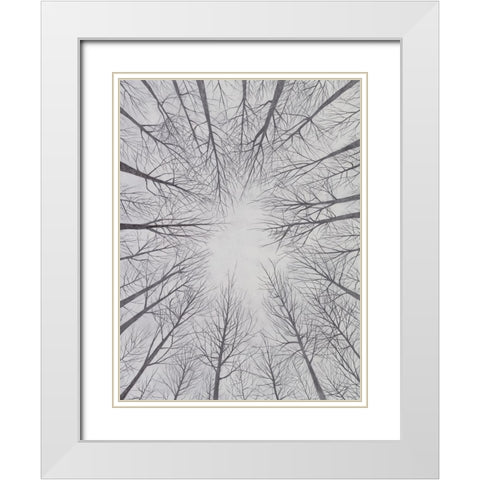 Deciduous Canopy II White Modern Wood Framed Art Print with Double Matting by Willett, Michael