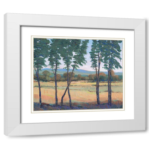 Still Morning I White Modern Wood Framed Art Print with Double Matting by OToole, Tim