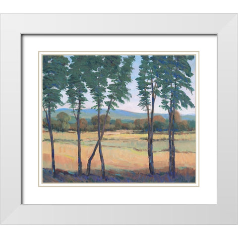 Still Morning I White Modern Wood Framed Art Print with Double Matting by OToole, Tim