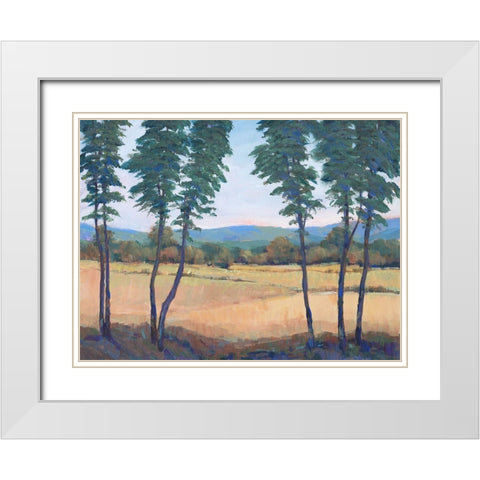 Still Morning II White Modern Wood Framed Art Print with Double Matting by OToole, Tim