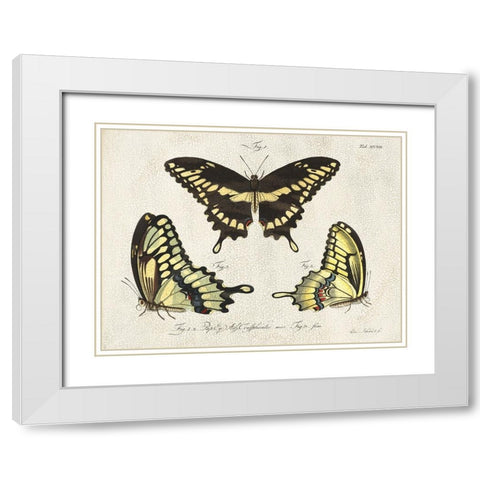 Crackled Butterflies I White Modern Wood Framed Art Print with Double Matting by Vision Studio