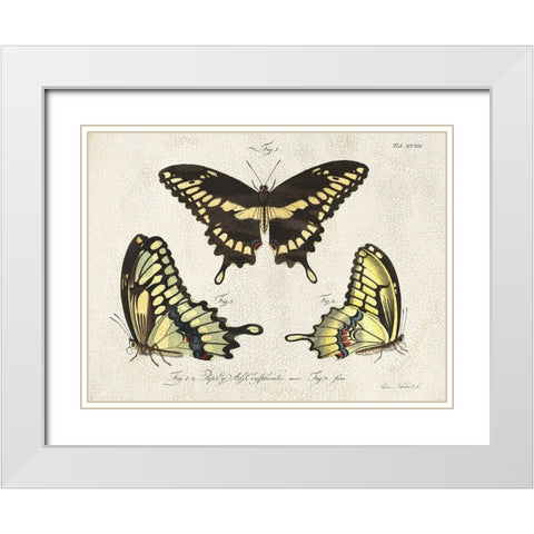 Crackled Butterflies I White Modern Wood Framed Art Print with Double Matting by Vision Studio