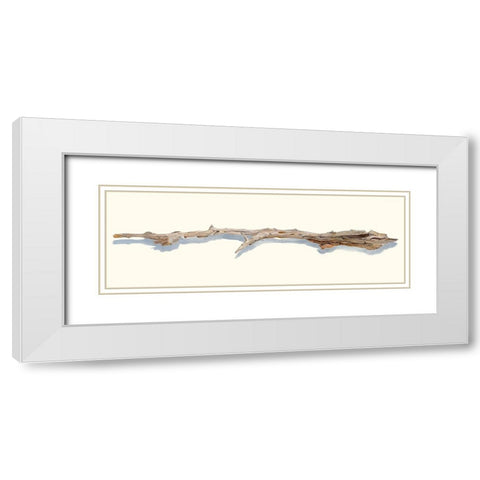 Driftwood Study I White Modern Wood Framed Art Print with Double Matting by Willett, Michael