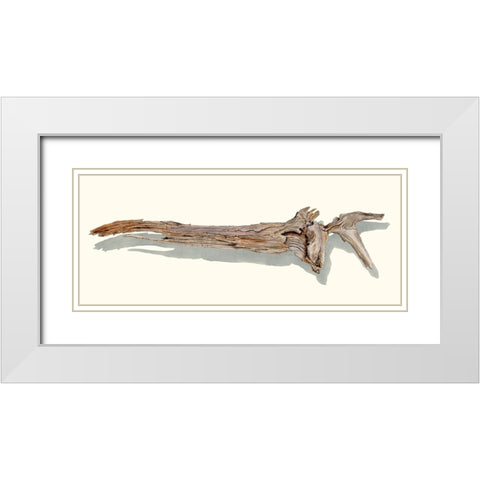 Driftwood Study II White Modern Wood Framed Art Print with Double Matting by Willett, Michael