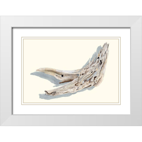 Driftwood Study III White Modern Wood Framed Art Print with Double Matting by Willett, Michael