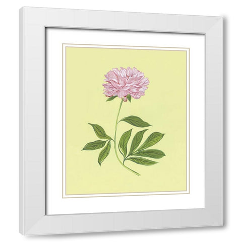 Peonies in Yellow I White Modern Wood Framed Art Print with Double Matting by Marr, Laura