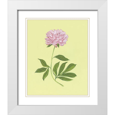 Peonies in Yellow I White Modern Wood Framed Art Print with Double Matting by Marr, Laura