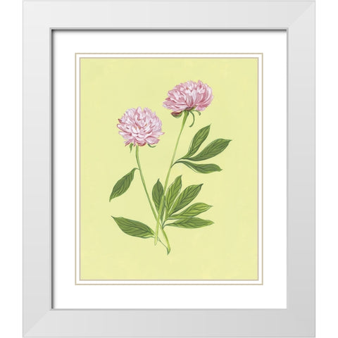 Peonies in Yellow II White Modern Wood Framed Art Print with Double Matting by Marr, Laura