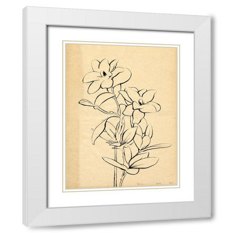 Magnolia Sketch I White Modern Wood Framed Art Print with Double Matting by Green, Jacob