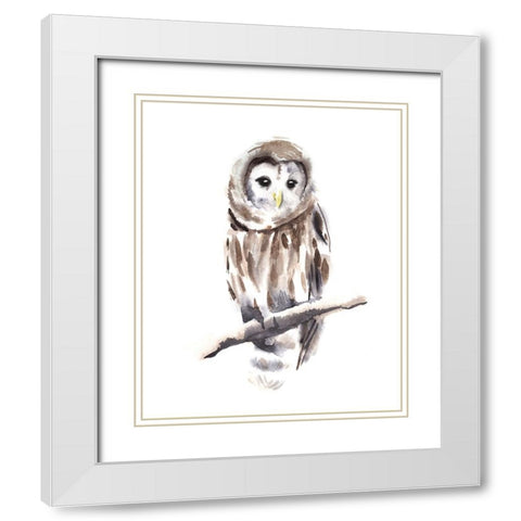 Barred Owl Impressions I White Modern Wood Framed Art Print with Double Matting by Warren, Annie