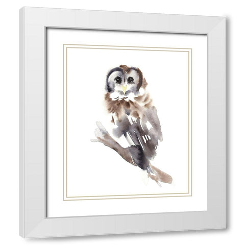 Barred Owl Impressions II White Modern Wood Framed Art Print with Double Matting by Warren, Annie