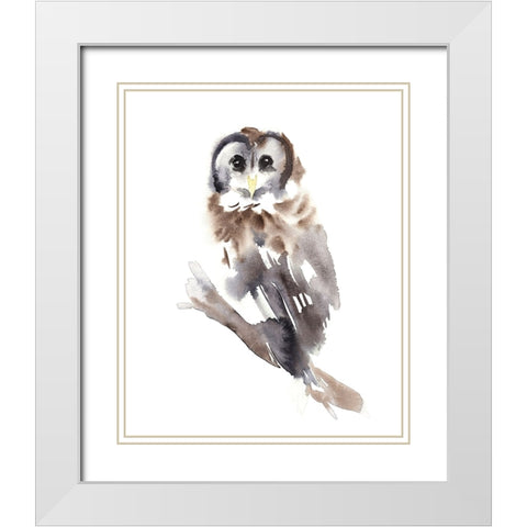 Barred Owl Impressions II White Modern Wood Framed Art Print with Double Matting by Warren, Annie
