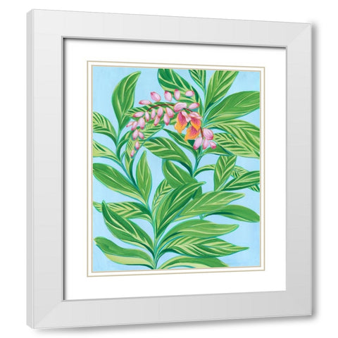 Tropical Shell Ginger I White Modern Wood Framed Art Print with Double Matting by Marr, Laura