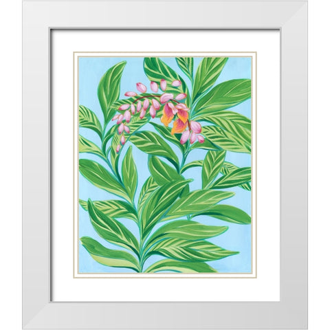 Tropical Shell Ginger I White Modern Wood Framed Art Print with Double Matting by Marr, Laura