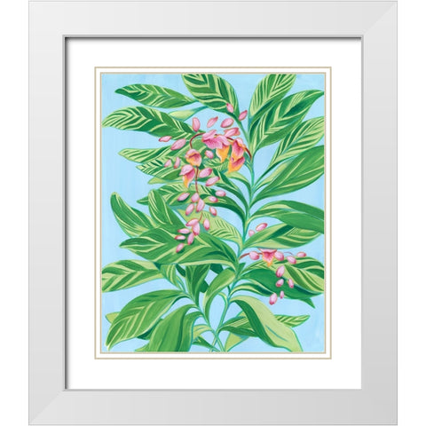 Tropical Shell Ginger II White Modern Wood Framed Art Print with Double Matting by Marr, Laura