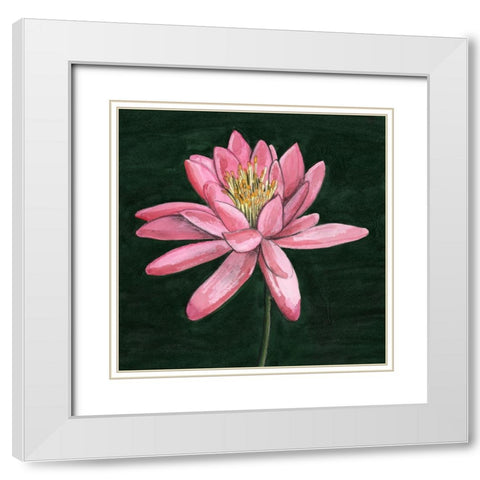 Pink Waterlily I White Modern Wood Framed Art Print with Double Matting by Longley, Alicia