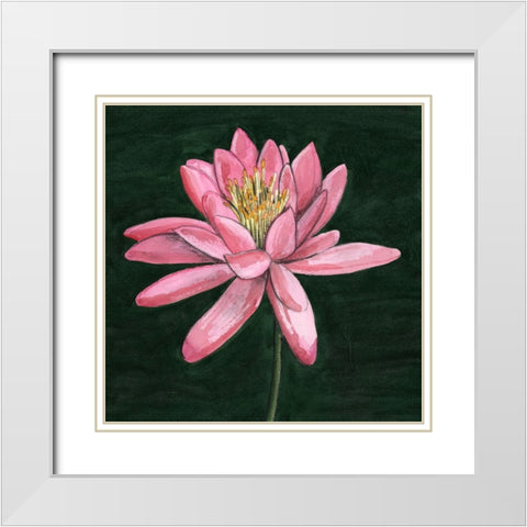 Pink Waterlily I White Modern Wood Framed Art Print with Double Matting by Longley, Alicia
