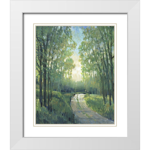 Golden Light Pathways II White Modern Wood Framed Art Print with Double Matting by OToole, Tim