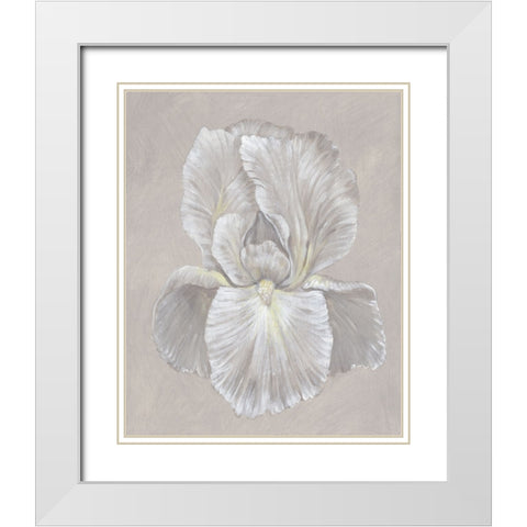 White Iris I White Modern Wood Framed Art Print with Double Matting by OToole, Tim