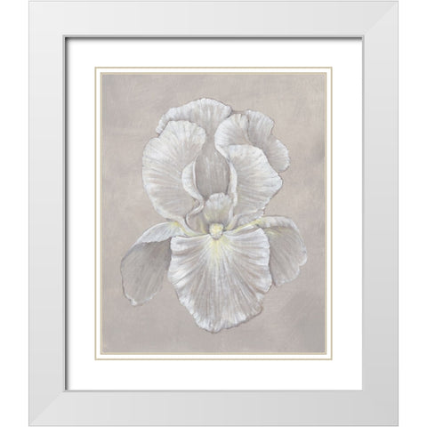 White Iris II White Modern Wood Framed Art Print with Double Matting by OToole, Tim